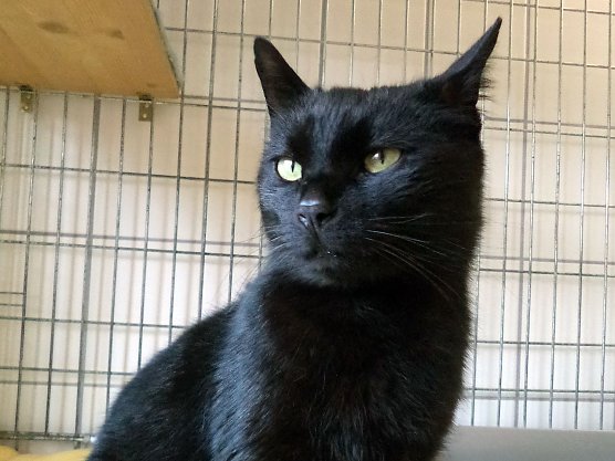 In Ellrich gefunden (Foto: C. Knust)