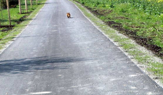Sieg nach Punkten f&uuml;r kn (Foto: Karl-Heinz Herrmann)