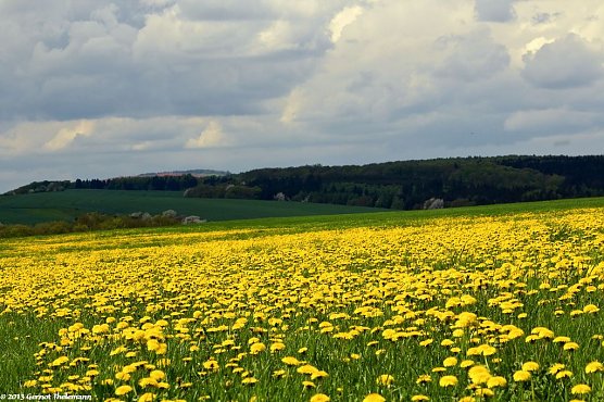 Wetter-Bild (Foto: Gernot Thelemann) Wetter-Bild (Foto: Gernot Thelemann)