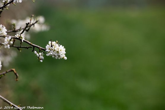 Wetter-Bild (Foto: Gernot Thelemann) Wetter-Bild (Foto: Gernot Thelemann)