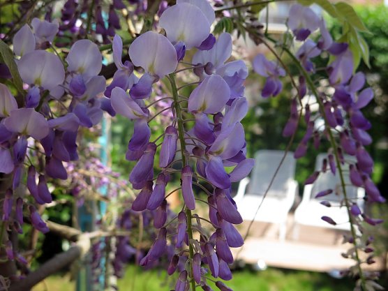 Wetter-Bild (Foto: nnz) Wetter-Bild (Foto: nnz)