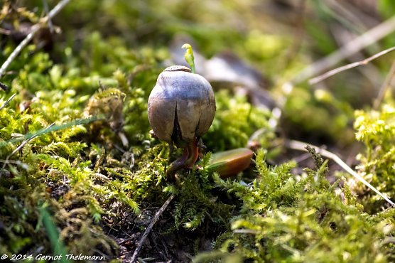 Wetterbild (Foto: Gernot Thelemann) Wetterbild (Foto: Gernot Thelemann)