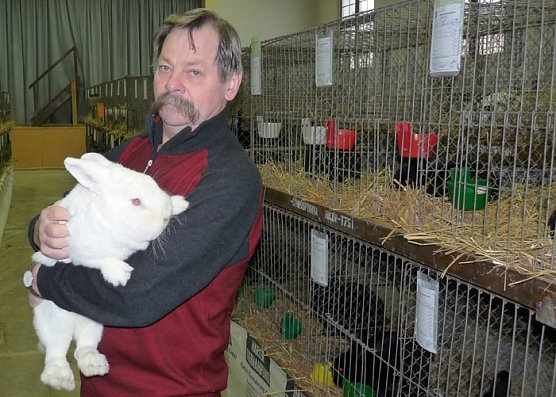 Rassekaninchenschau Kyffhäuserkreis (Foto: Karl-Heinz Herrmann) Rassekaninchenschau Kyffhäuserkreis (Foto: Karl-Heinz Herrmann)