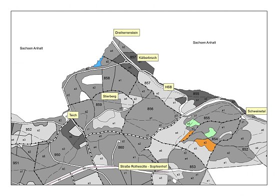 Baumartenbestand im Grenzgebiet (Foto: Thüringenforst) Baumartenbestand im Grenzgebiet (Foto: Thüringenforst)