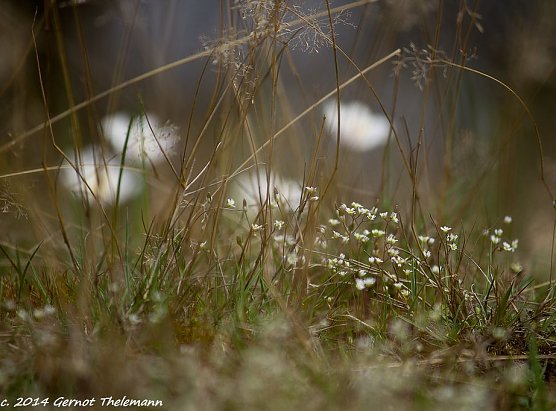 Wetter-Bild (Foto: Gernot Thelemann) Wetter-Bild (Foto: Gernot Thelemann)