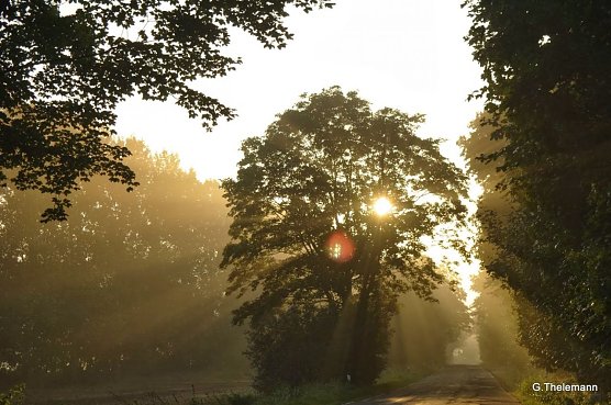 Wetterbild (Foto: Gernot Thelemann) Wetterbild (Foto: Gernot Thelemann)