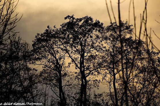 Wetterbild (Foto: Gernot Thelemann) Wetterbild (Foto: Gernot Thelemann)