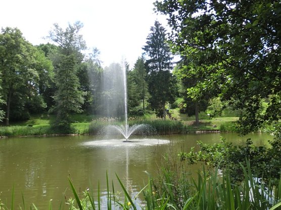 Einbau neuer Font&auml;ne (Foto: Elke Sagorski)