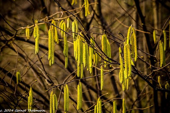 Wetterbild (Foto: Gernot Thelemann)