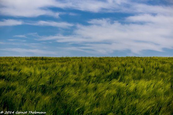 Wetter-Bild (Foto: Gernot Thelemann) Wetter-Bild (Foto: Gernot Thelemann)