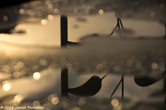 Wetter-Bild (Foto: Gernot Thelemann) Wetter-Bild (Foto: Gernot Thelemann)