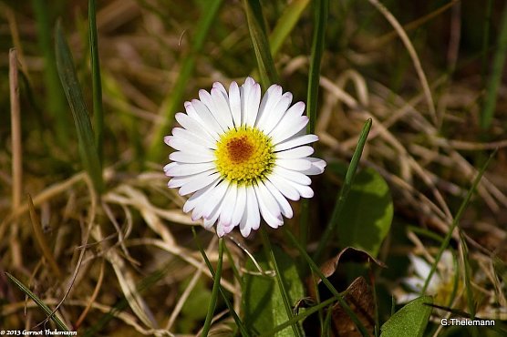 Wetter-Bild (Foto: Gernot Thelemann) Wetter-Bild (Foto: Gernot Thelemann)