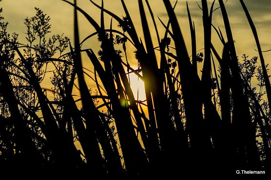 Wetter-Bild (Foto: Gernot Thelemann) Wetter-Bild (Foto: Gernot Thelemann)