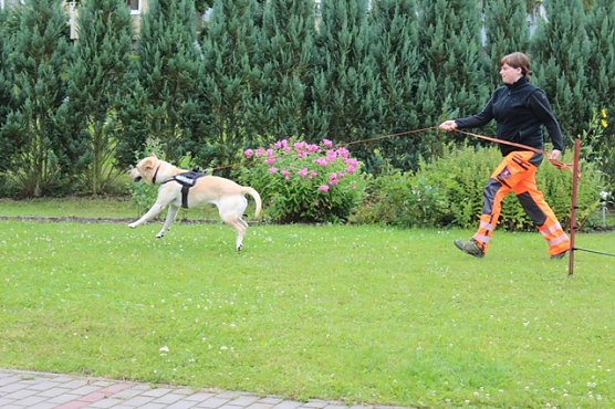 Rettungshunde bei Lebenshilfe (Foto: Gisela Reinhardt) Rettungshunde bei Lebenshilfe (Foto: Gisela Reinhardt)