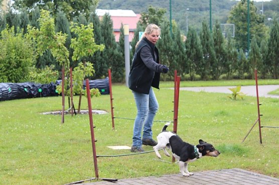 Rettungshunde bei Lebenshilfe (Foto: Gisela Reinhardt) Rettungshunde bei Lebenshilfe (Foto: Gisela Reinhardt)