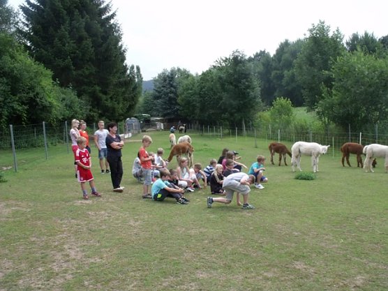 bei den Alpakas (Foto: Katharina Trümper) bei den Alpakas (Foto: Katharina Trümper)