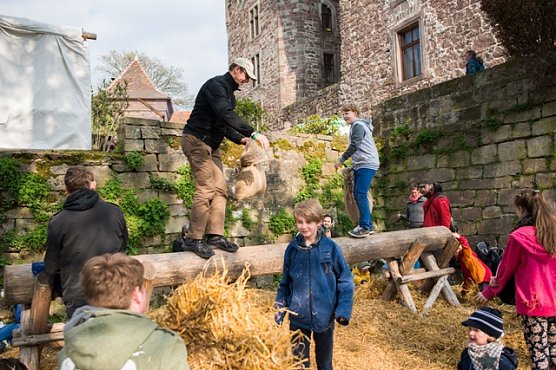 Toben auf dem Prügelbalken (Foto: Fabian Berlepsch) Toben auf dem Prügelbalken (Foto: Fabian Berlepsch)