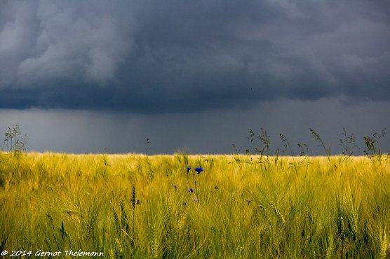 Wetter-Bild (Foto: Gernot Thelemann) Wetter-Bild (Foto: Gernot Thelemann)