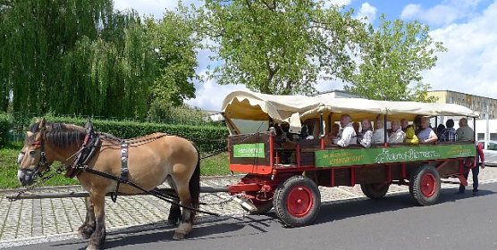 Start (Foto: Werner Probst)
