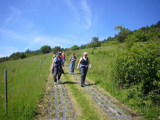 Wandern (Foto: Katharina Trümper) Wandern (Foto: Katharina Trümper)