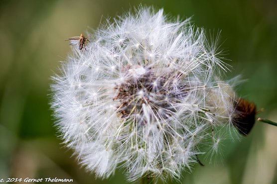 Wetter-Bild (Foto: Gernot Thelemann)