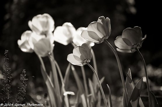 Wetterbild (Foto: Gernot Thelemann)