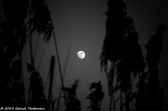Wetterbild (Foto: Gernot Thelemann) Wetterbild (Foto: Gernot Thelemann)
