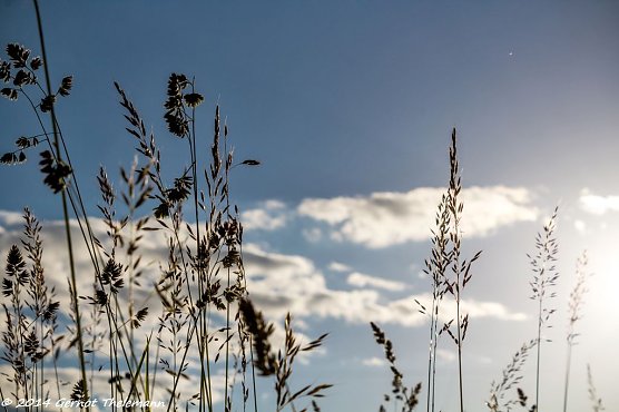 Wetterbild (Foto: Gernot Thelemann)