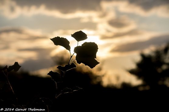 Wetter-Bild (Foto: Gernot Thelemann) Wetter-Bild (Foto: Gernot Thelemann)