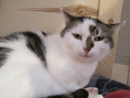 Laura (Foto: Karin Ziegler)