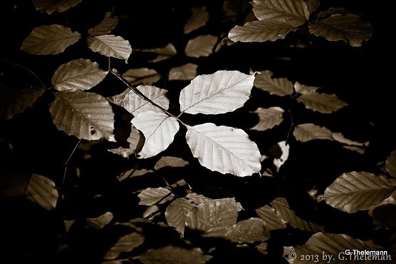 Wetter-Bild (Foto: Gernot Thelemann) Wetter-Bild (Foto: Gernot Thelemann)