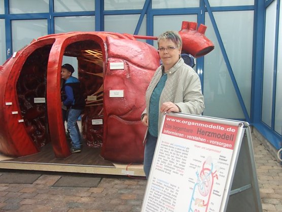 Gesundheitstag (Foto: Netzwerk)