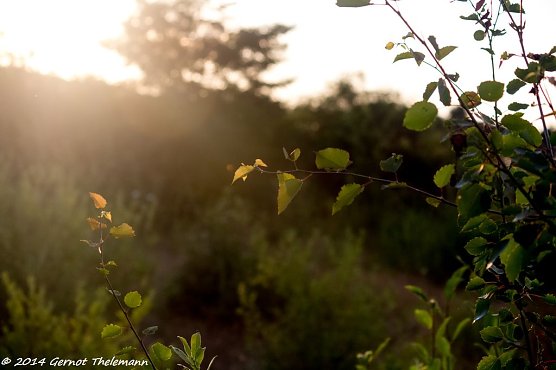 Wetter-Bild (Foto: Gernot Thelemann) Wetter-Bild (Foto: Gernot Thelemann)