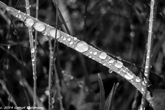 Wetter-Bild (Foto: Gernot Thelemann)