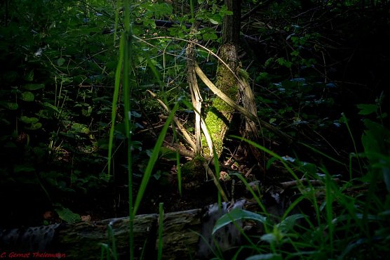 Wetter-Bild (Foto: Gernot Thelemann)