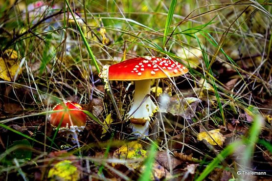 Wetterbild (Foto: Gernot Thelemann)