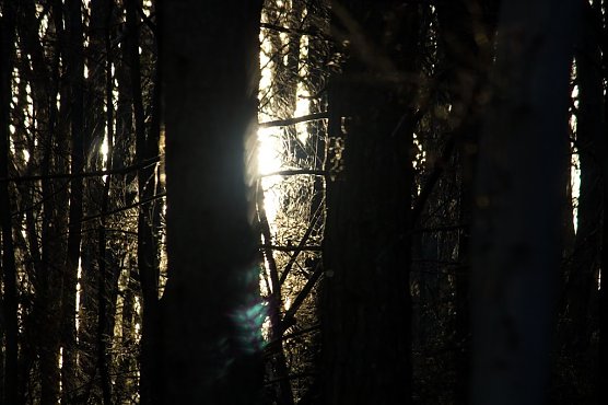 Wetter-Bild (Foto: Gernot Thelemann)