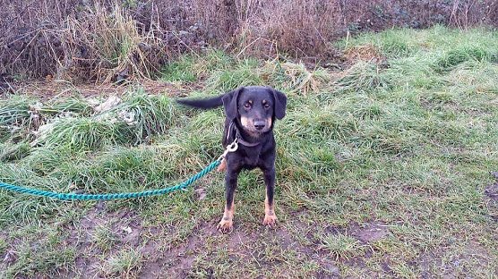 Pitti (Foto: B. Hellrung) Pitti (Foto: B. Hellrung)