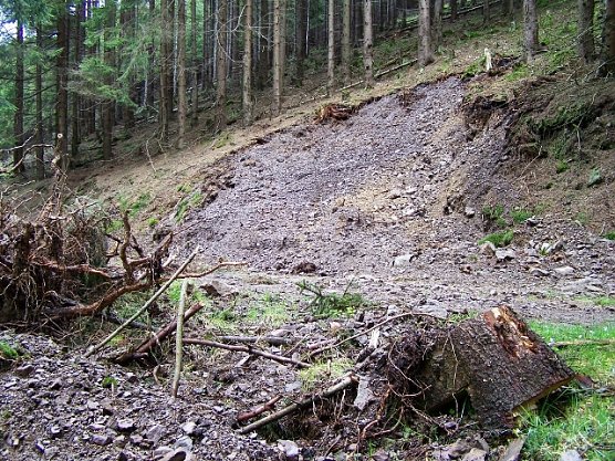 Hangrutsch (Foto: Th&uuml;ringenforst)