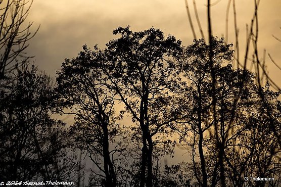 Wetter-Bild (Foto: Gernot Thelemann)