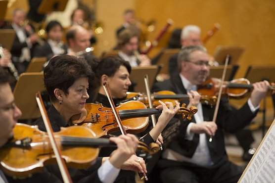 Loh-Orchester (Foto: Tillmann Graner) Loh-Orchester (Foto: Tillmann Graner)