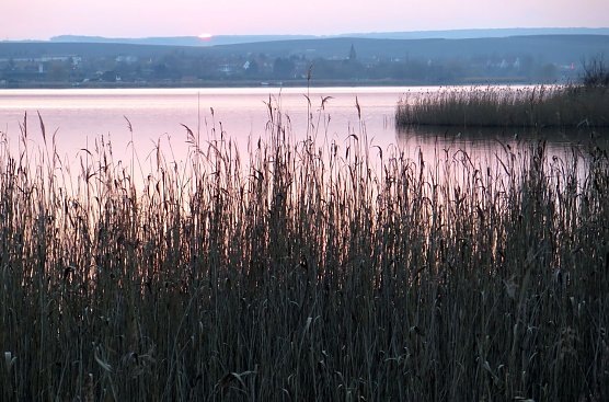 Sonnenuntergang am Süßen See bei Seeburg (Foto: nnz) Sonnenuntergang am Süßen See bei Seeburg (Foto: nnz)
