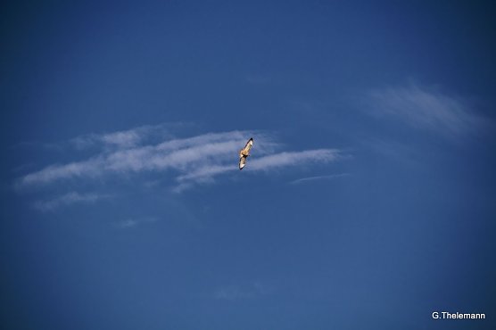 Wetterbild (Foto: Gernot Thelemann) Wetterbild (Foto: Gernot Thelemann)
