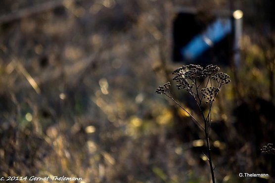 Wetter-Bild (Foto: Gernot Thelemann)