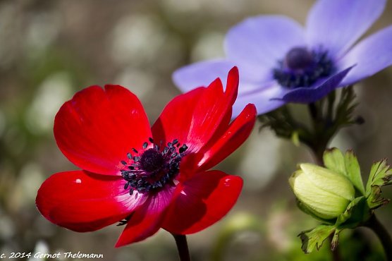 Wetterbild (Foto: Gernot Thelemann) Wetterbild (Foto: Gernot Thelemann)