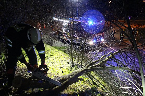 Baum auf Stra&szlig;e (Foto: Feuerwehr Heiligenstadt)