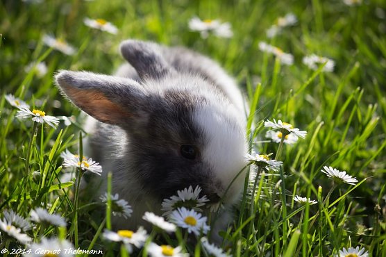 Wetterbild (Foto: Gernot Thelemann)