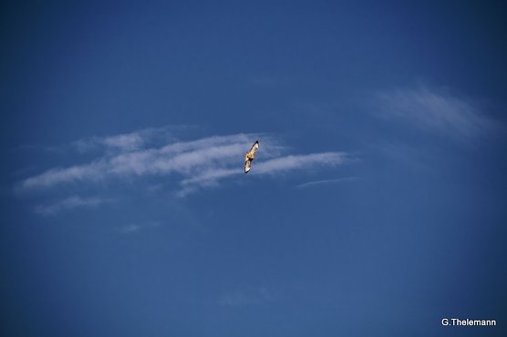 Wetter-Bild (Foto: Gernot Thelemann)