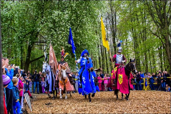 Ritter (Foto: Schloss Berlepsch)