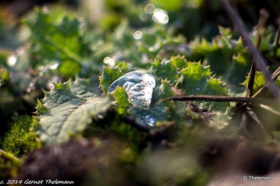 Wetter-Bild (Foto: Gernot Thelemann)